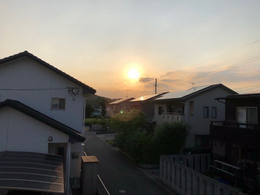 ✨今日の夕日✨