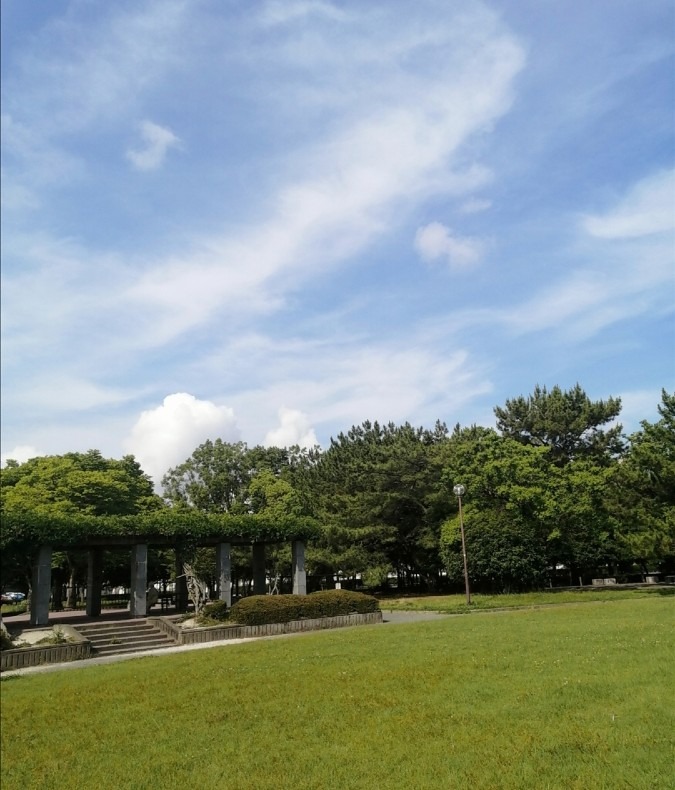 今日の空－公園6月18日