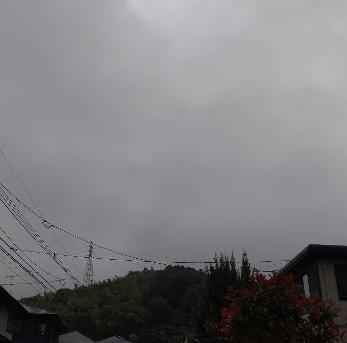 6/21朝空☔