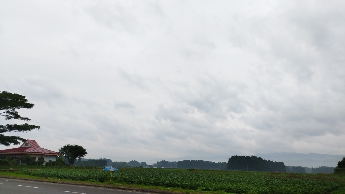 都城市（2022/6/5）　今朝は雨降ってます😓⤵️