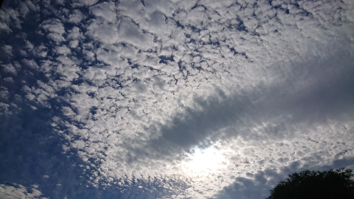 今の空 ステキ