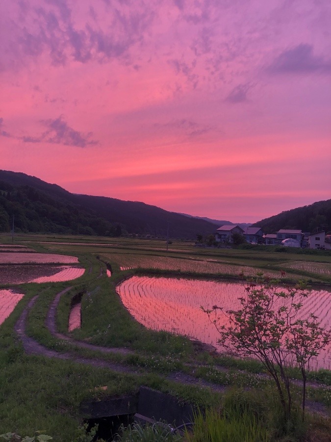 今日の夕空