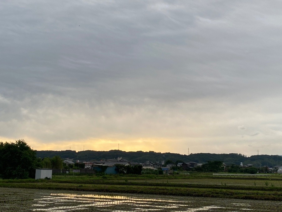 今朝の空