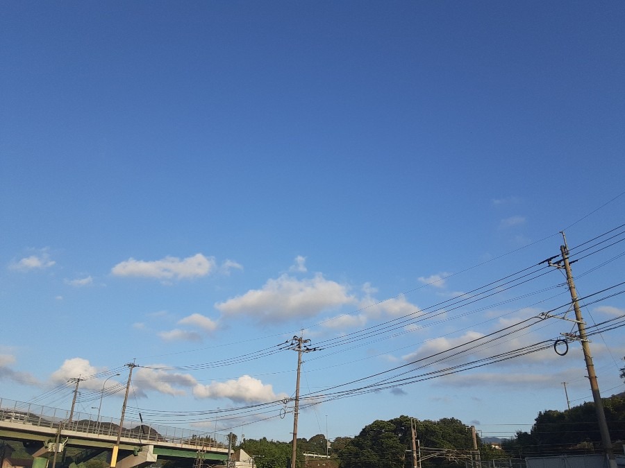 雲もくもく部❣️( ˶˙ᵕ˙˶ )🍀*゜