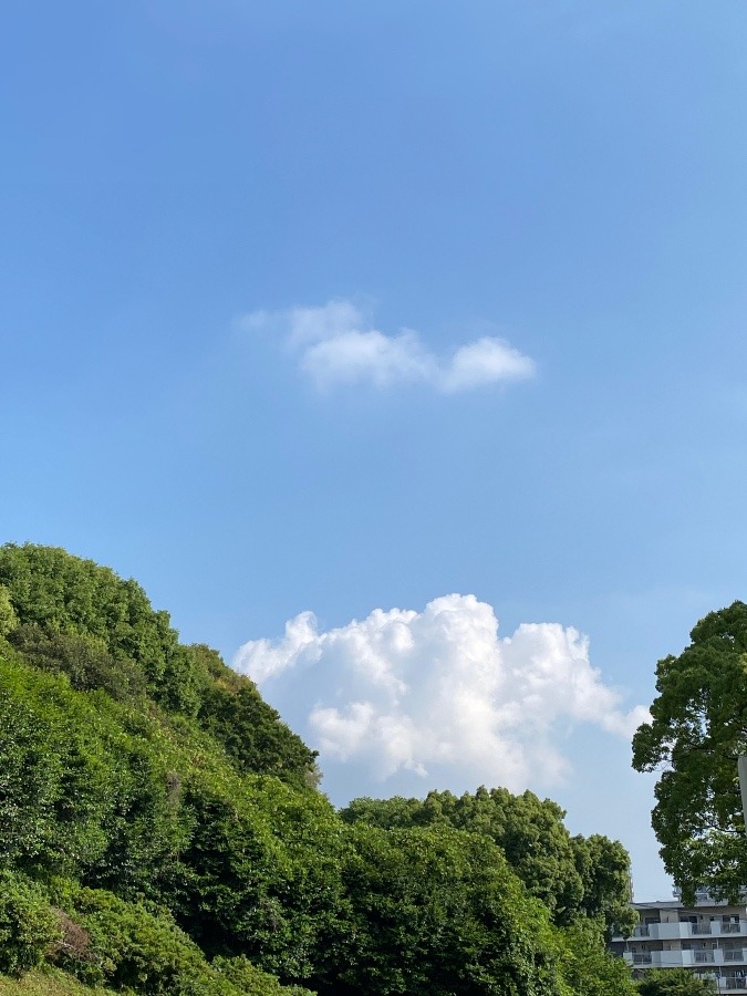 今朝の空