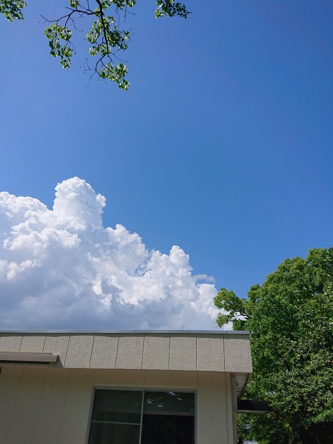 宮崎今空「綺麗✨」