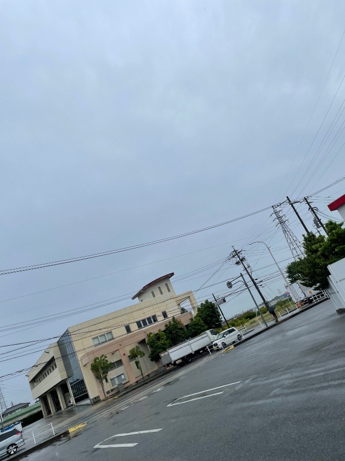 今日は雨です