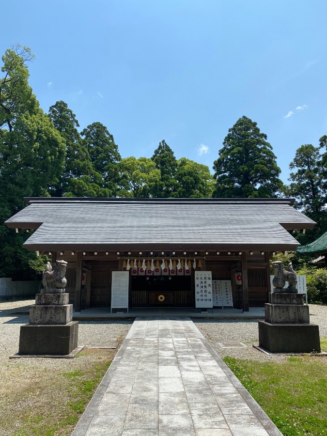 氏神様へ月参り‼️その13