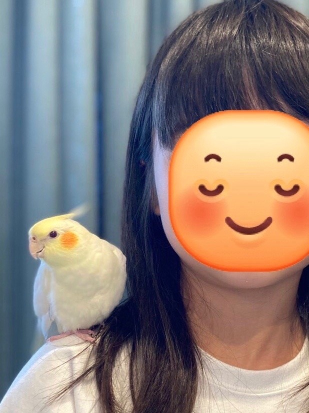 仲良しなの🦜