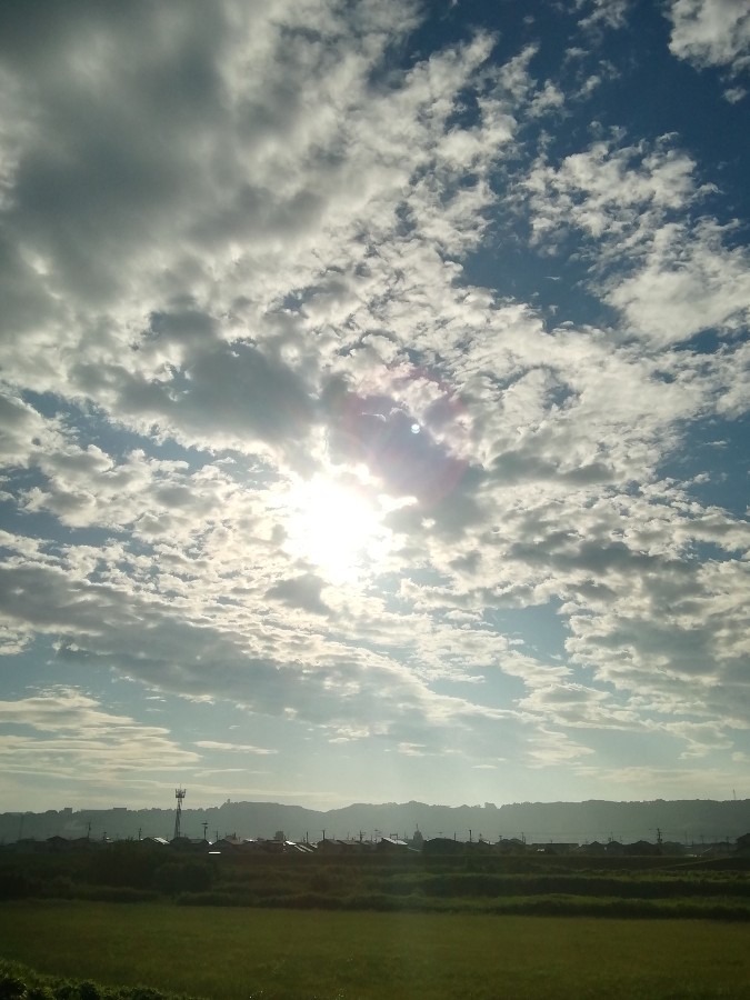 今朝の空