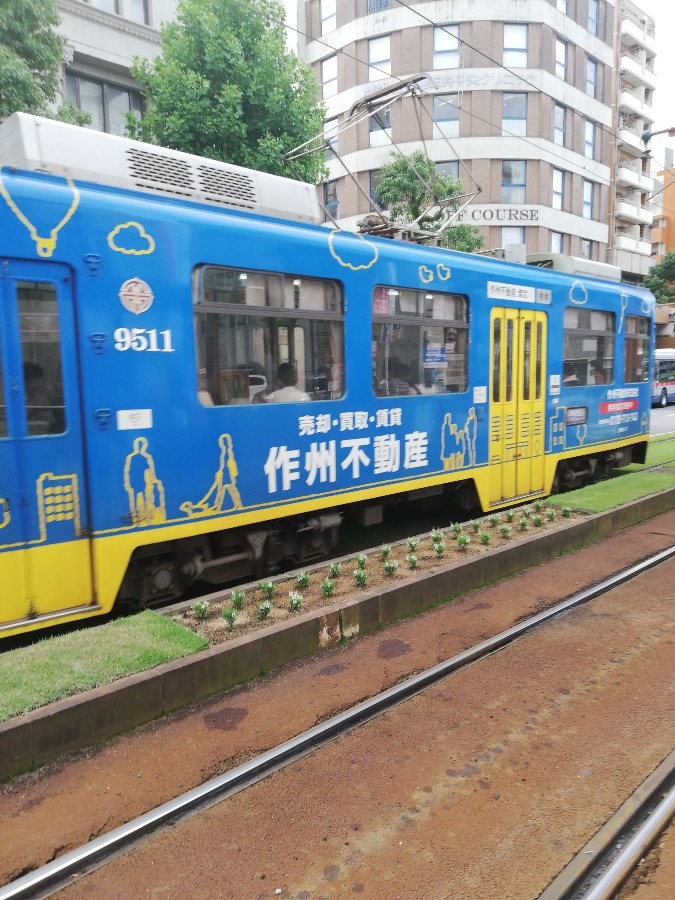 市電🚋