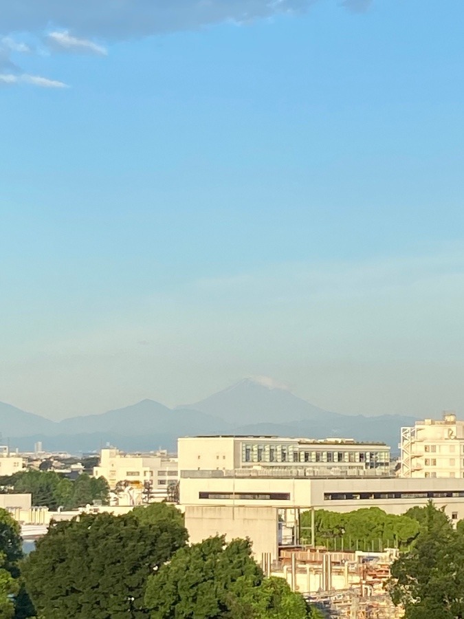 今朝の富士山