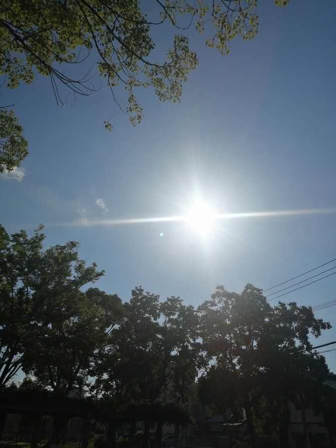 今日の空6月30日