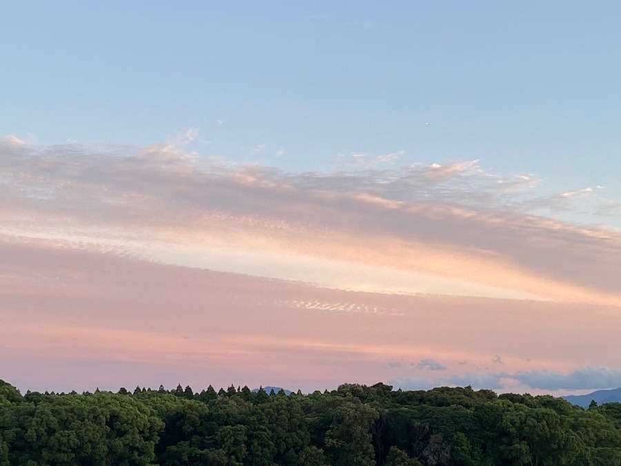 夕陽に染まった雲