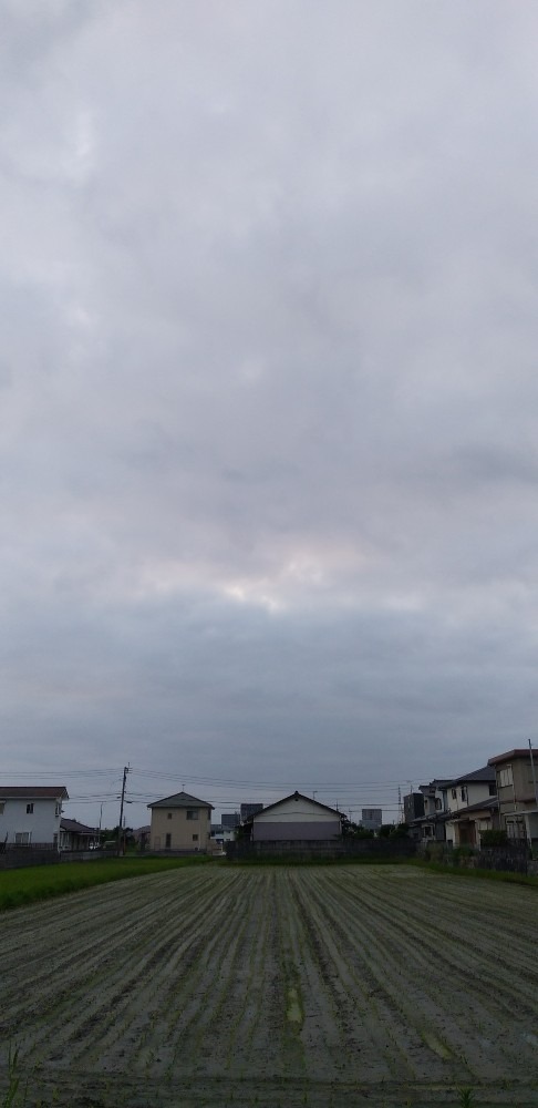 6/19　今朝の空　(東）