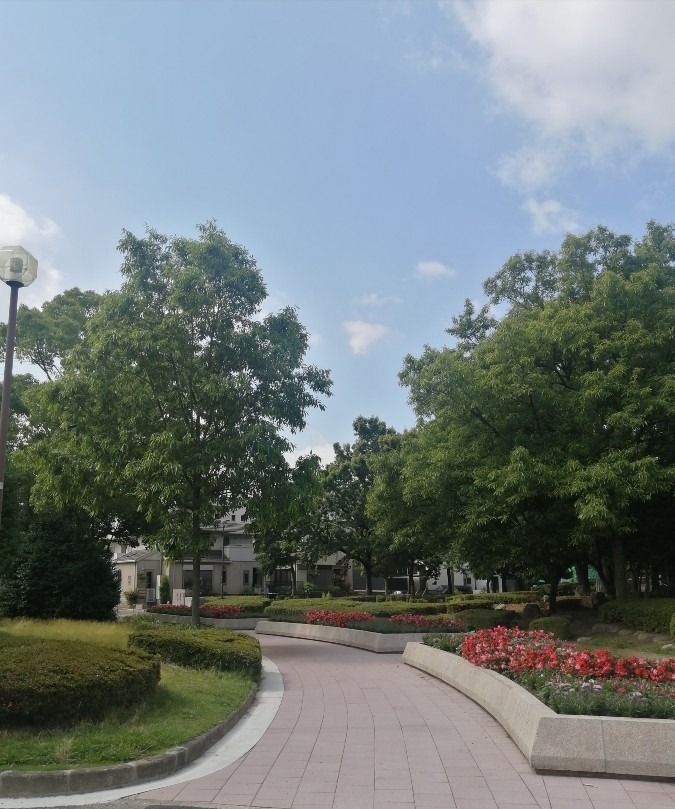 近くの公園と青空