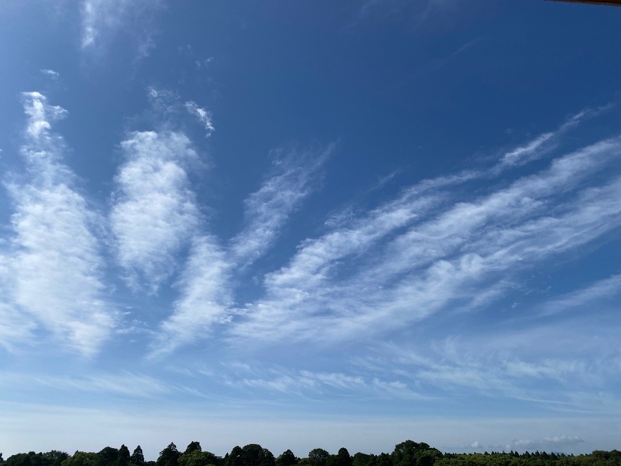 今朝の宮崎の空