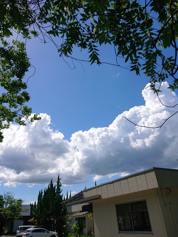 空部「空は繋がってるね✨」