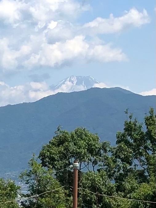 南アルプス側からの富士山🗻