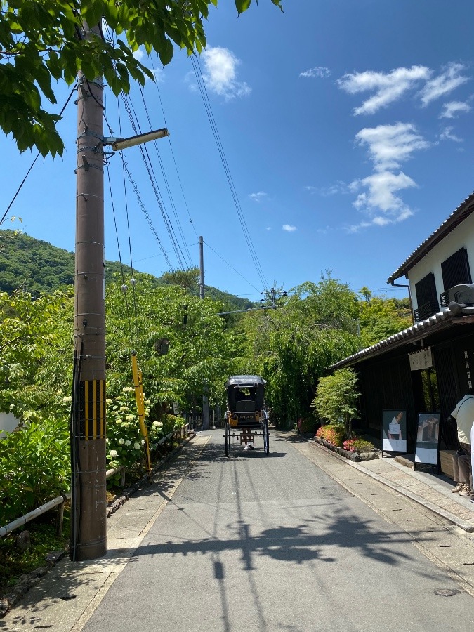 空部　　風薫る京都の空