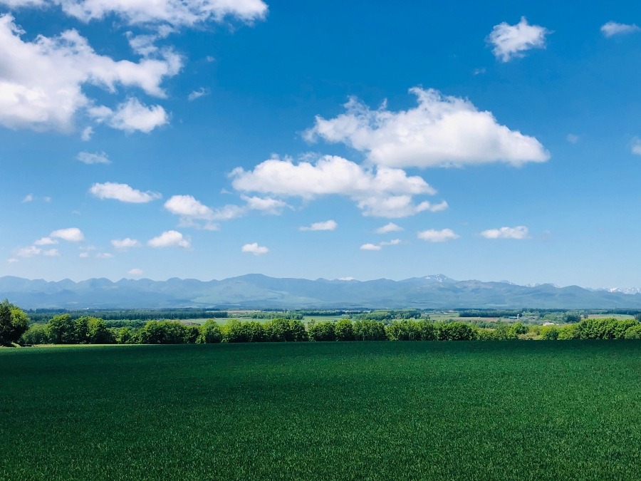 北海道はでっかいどー