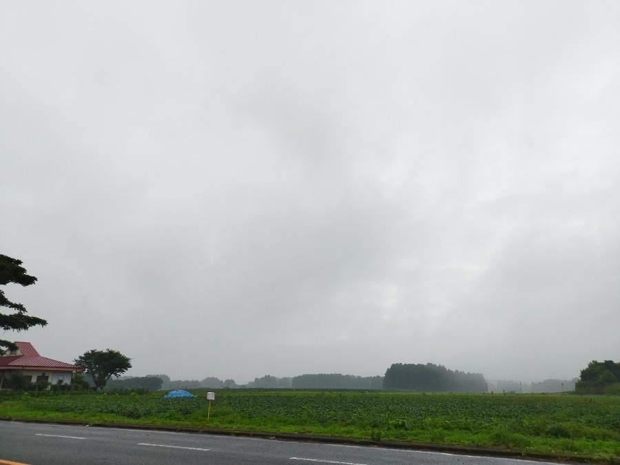 都城市（2022/6/18）今朝は雨が降ってます😞❗