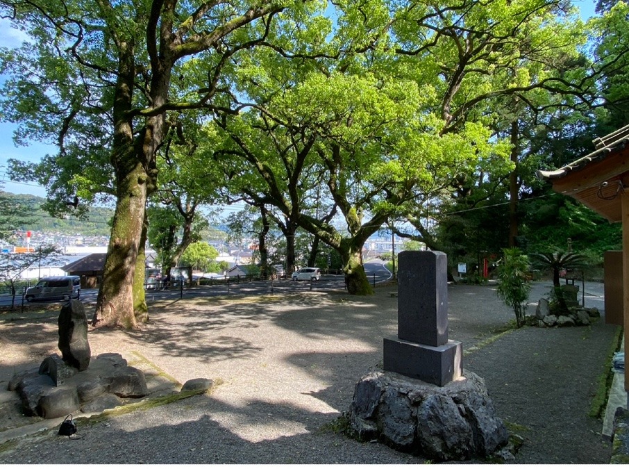 神代の楠、神社から⛩