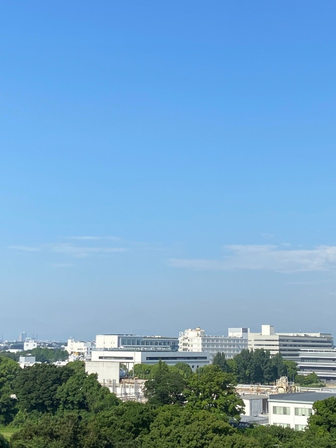 今朝の富士山