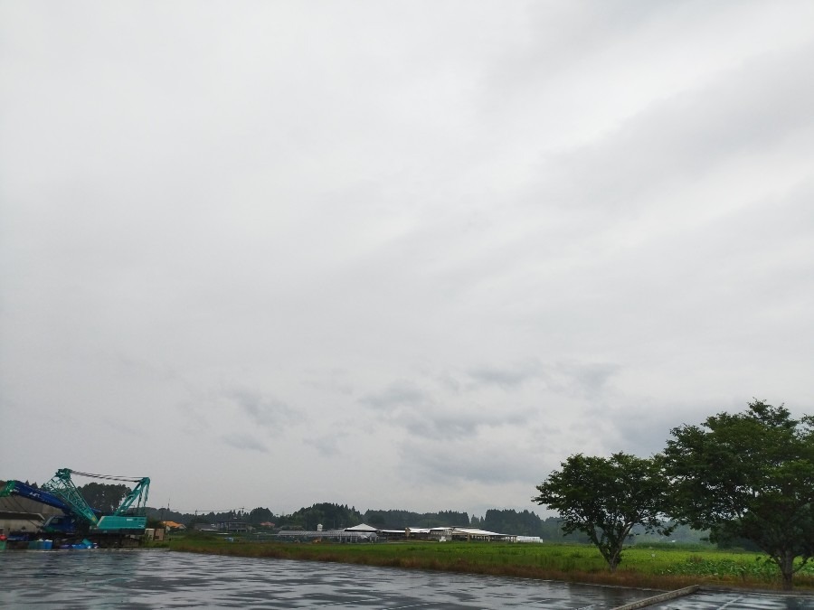 都城市（2022/6/13）雨の朝です😓❗