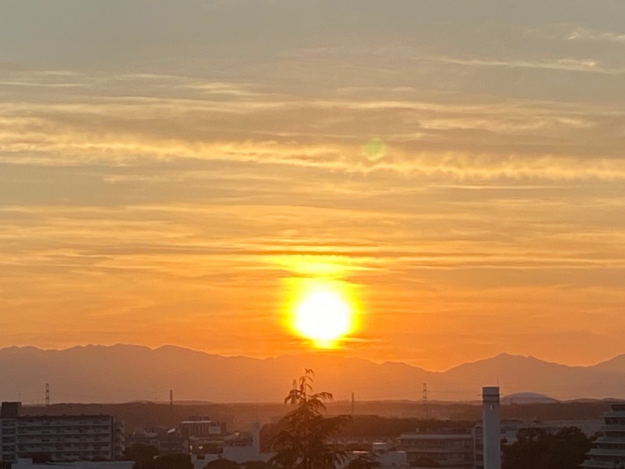 夕陽