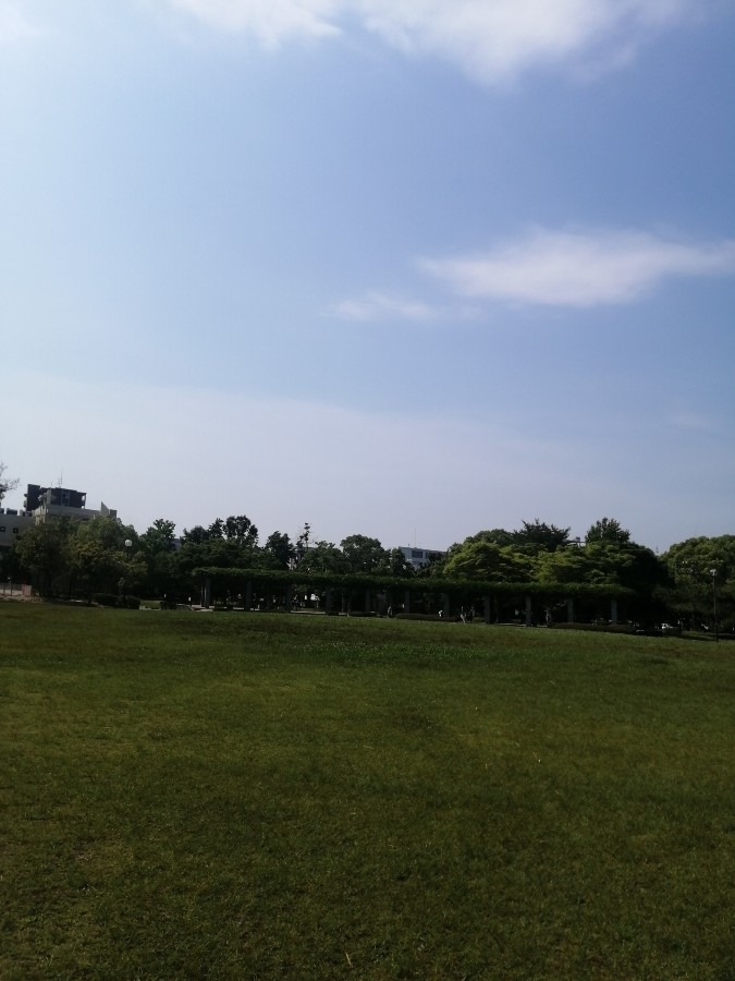 今日の空－公園6月17日