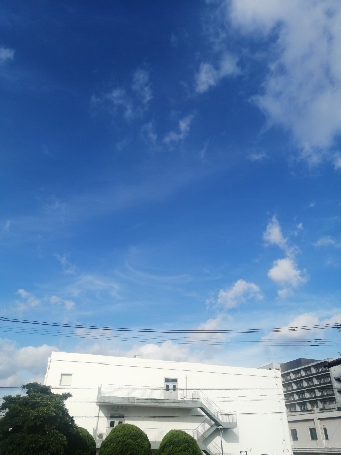 自宅近く病院の上空6月29日