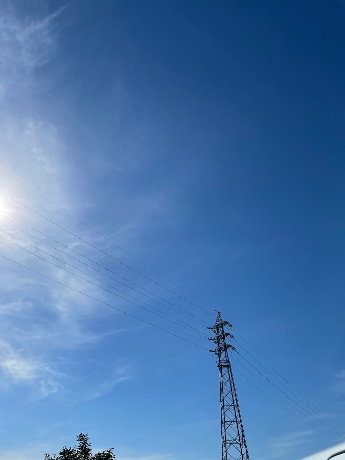 今日の空