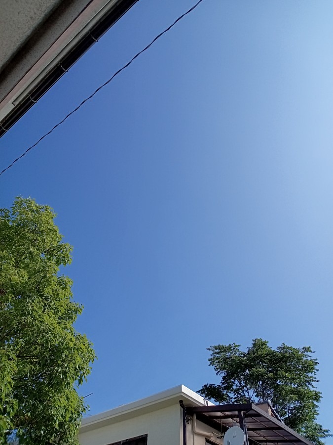 現在の空☀️　８:30