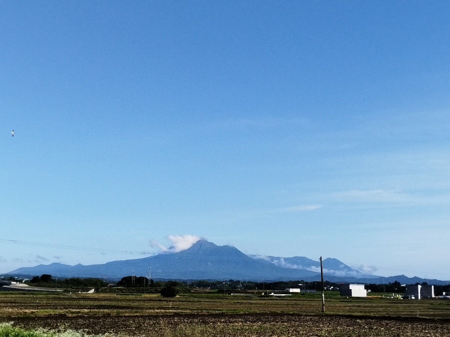 霧島が噴火⁉️　してませんよ🤗