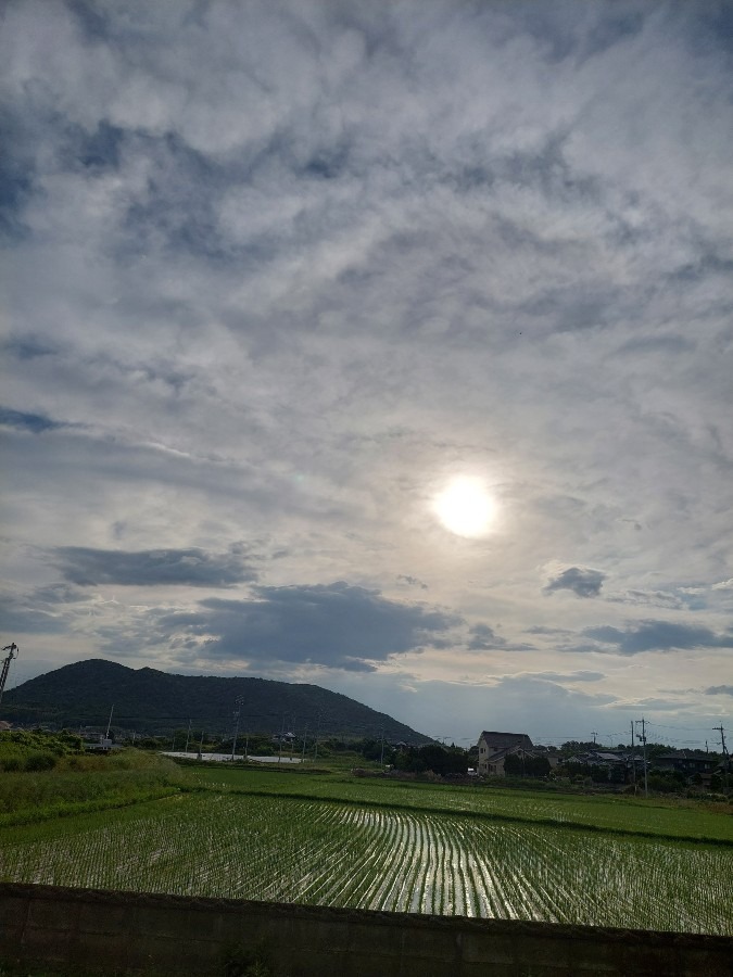 6/24空