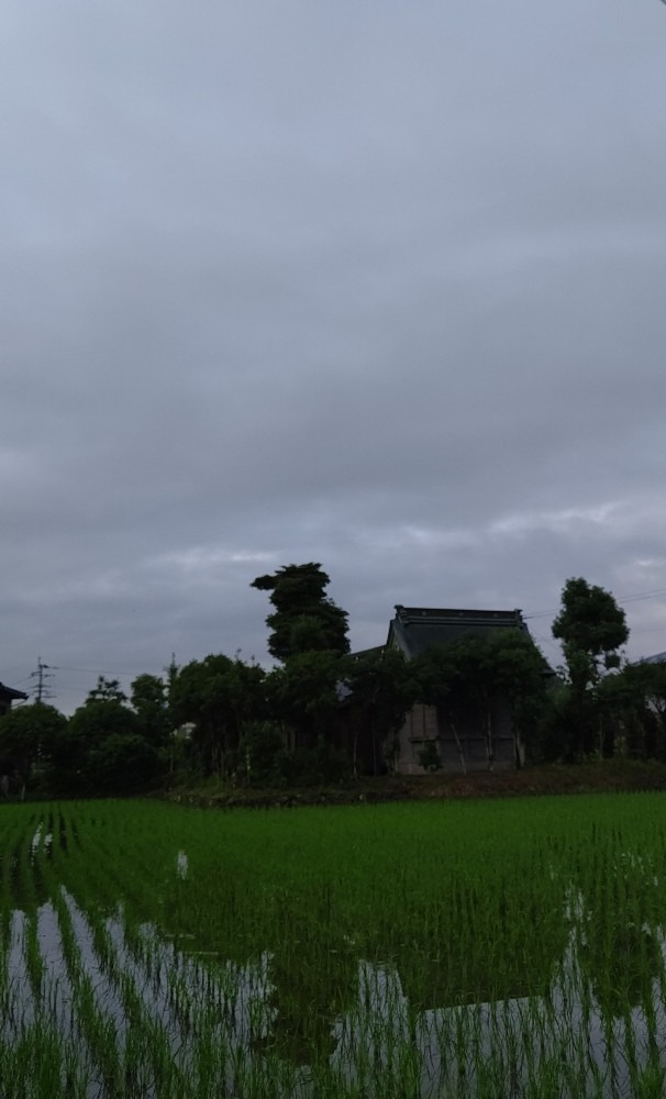 6/22 朝空 雨