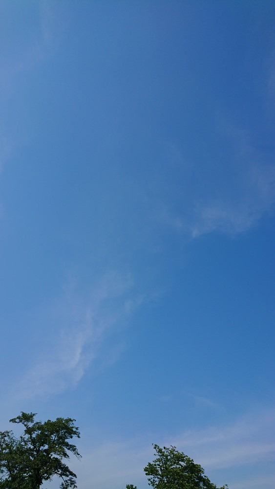 今の空☀️