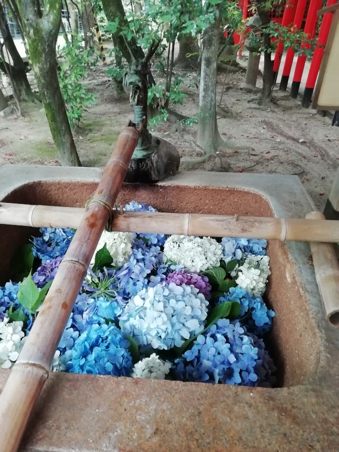 意賀美(おかみ)神社の花手水