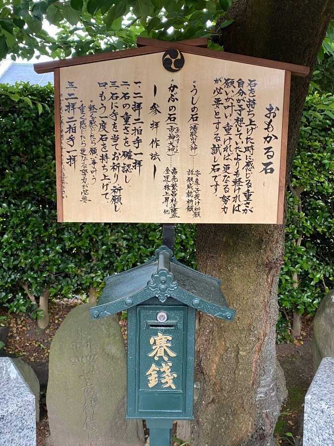 神社詣り⛩