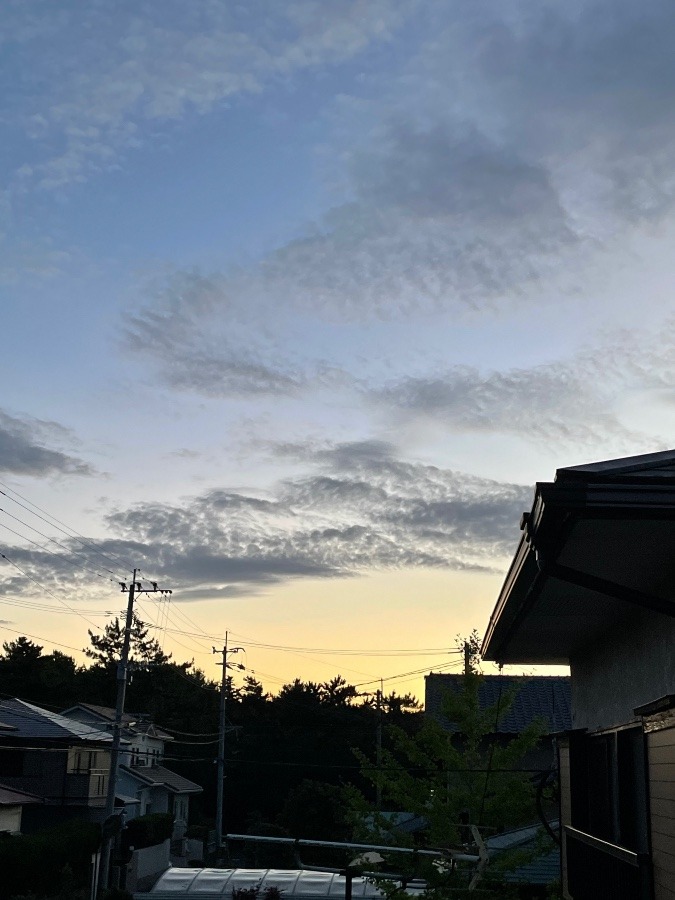 蟹座の新月🌙