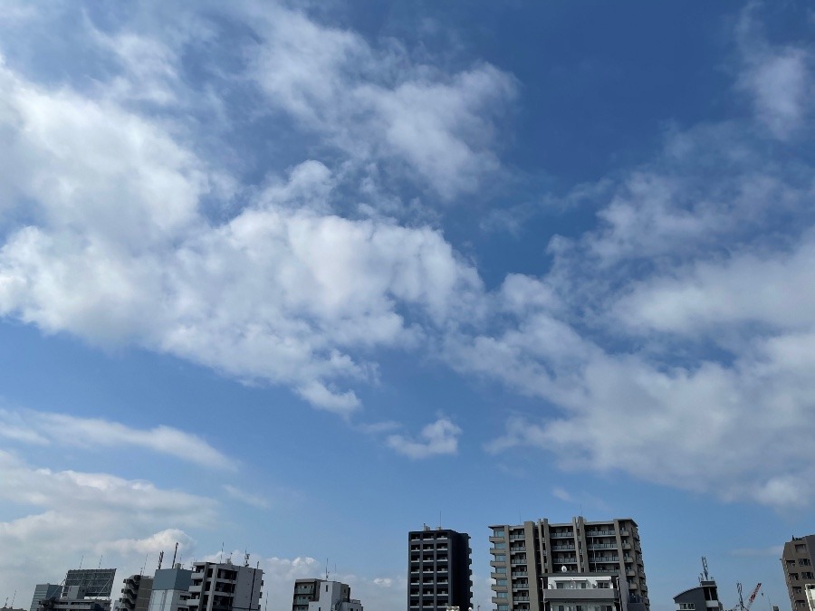 東京都北区今朝の空
