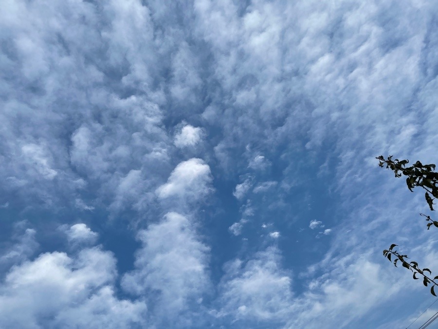 17時ごろの空