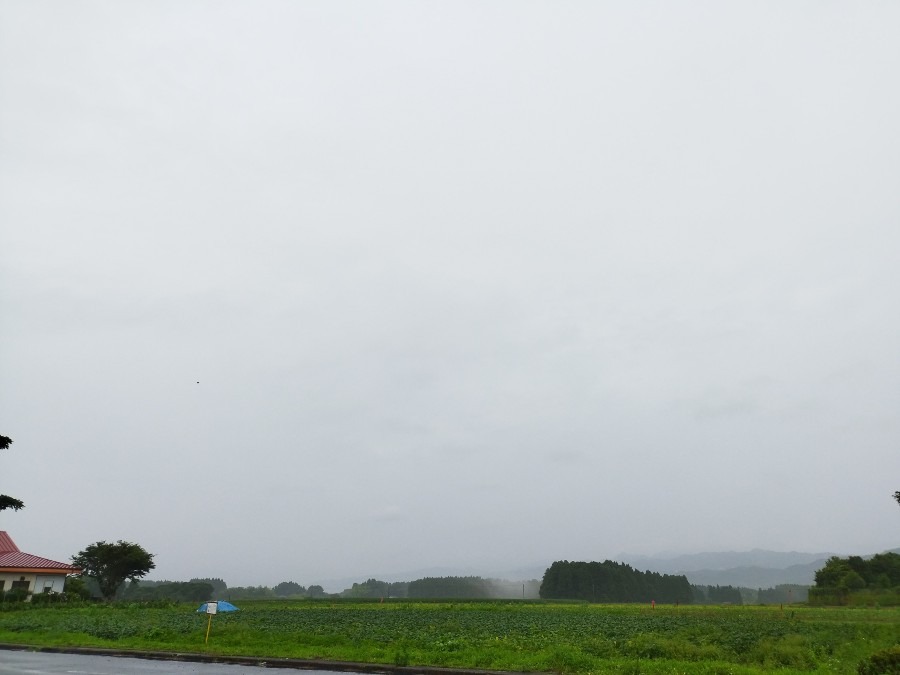 都城市（2022/6/20）朝から雨降ってます😨❗