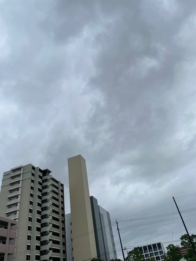 今日は雨です