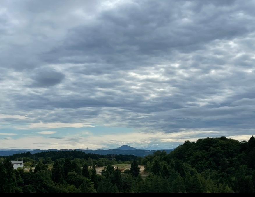 森のようちえんの山道から