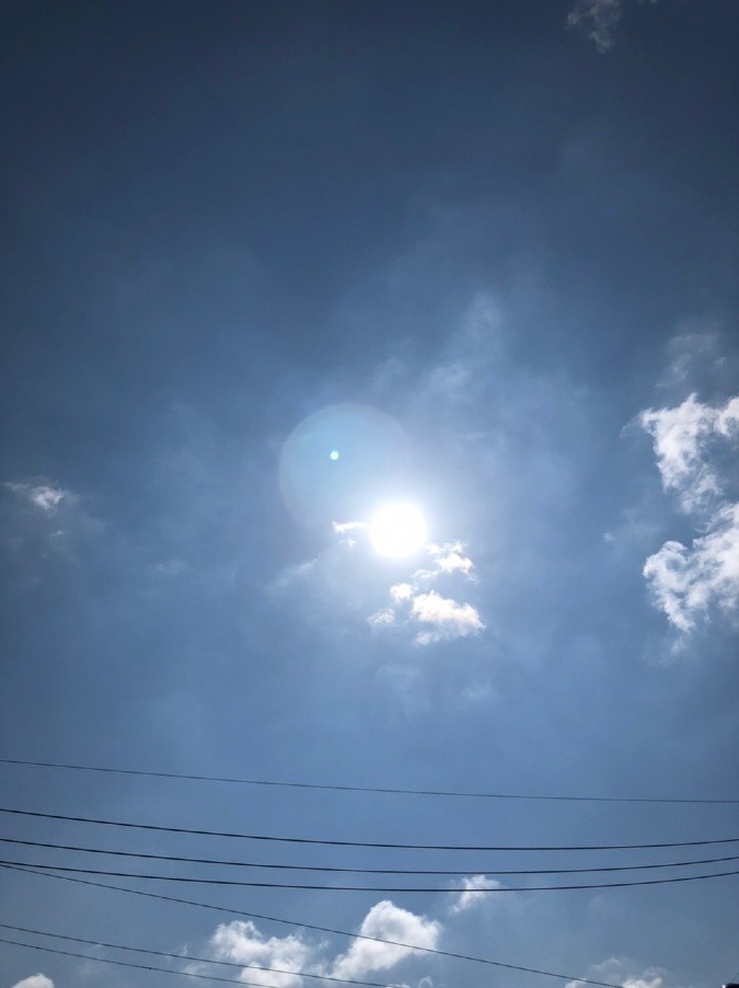 昨夜の土砂降りからの晴天☀️