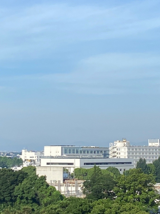 今朝の富士山