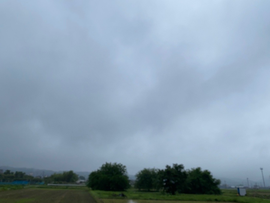 今朝は雨