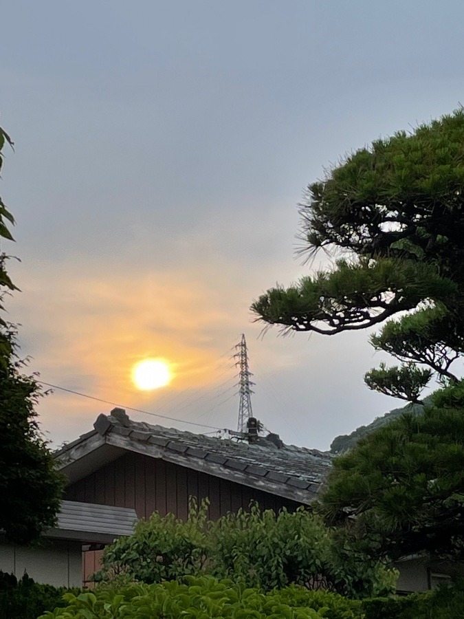 日の出から時間経ってた‼️